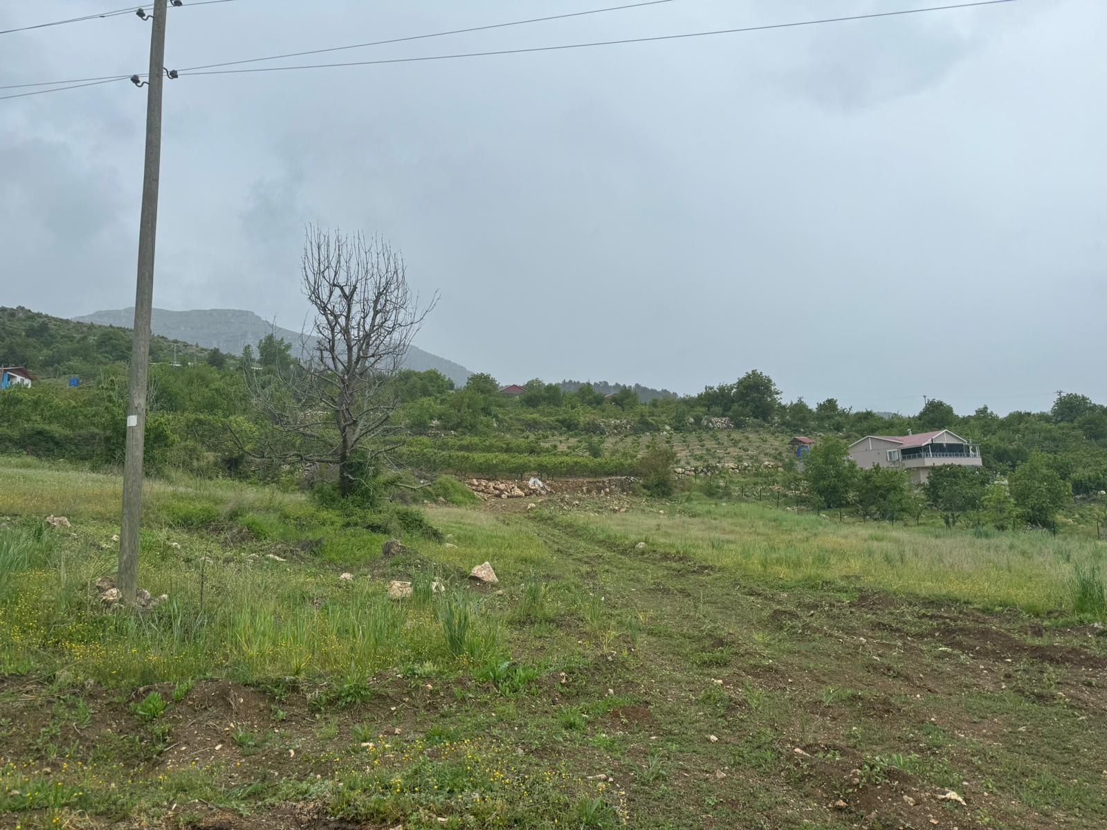 TOROSLAR YAVCA DA SATILIK TARLA