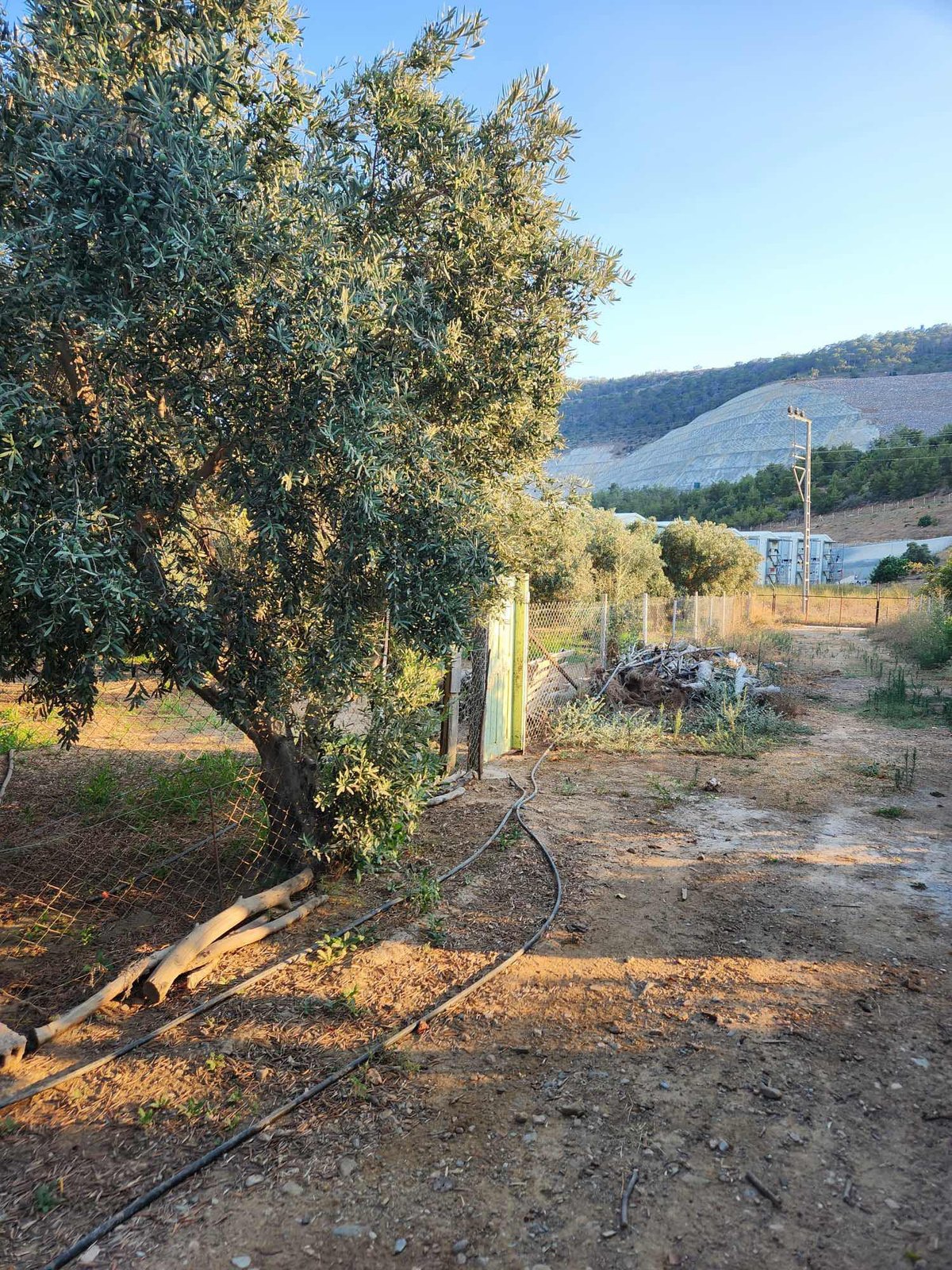 Büyükeceli Merkezde Turizm+Konut İmarlı Satılık Arsa
